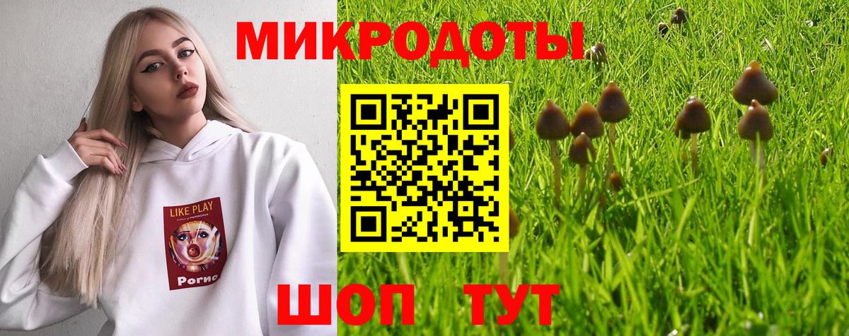 Магадан  Галлюциногенные грибы MAGIC MUSHROOMS  Псилоцибиновые грибы Psilocybe  Вход с VPN 