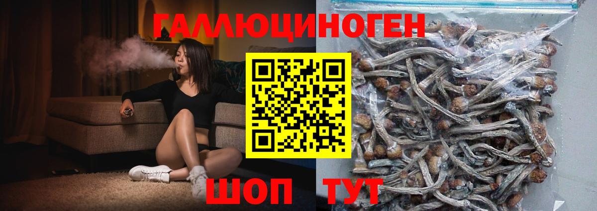Галлюциногенные грибы мицелий Магадан